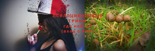 синтетический гашиш Алексин