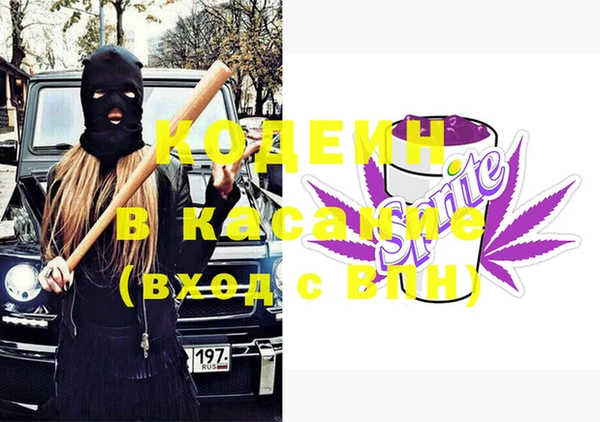 индика Алзамай