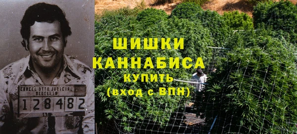 индика Алзамай