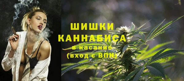 индика Алзамай